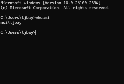 whoami command being run